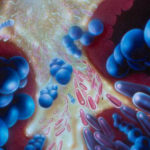 Anaerobic-Microflora Hydrogen water