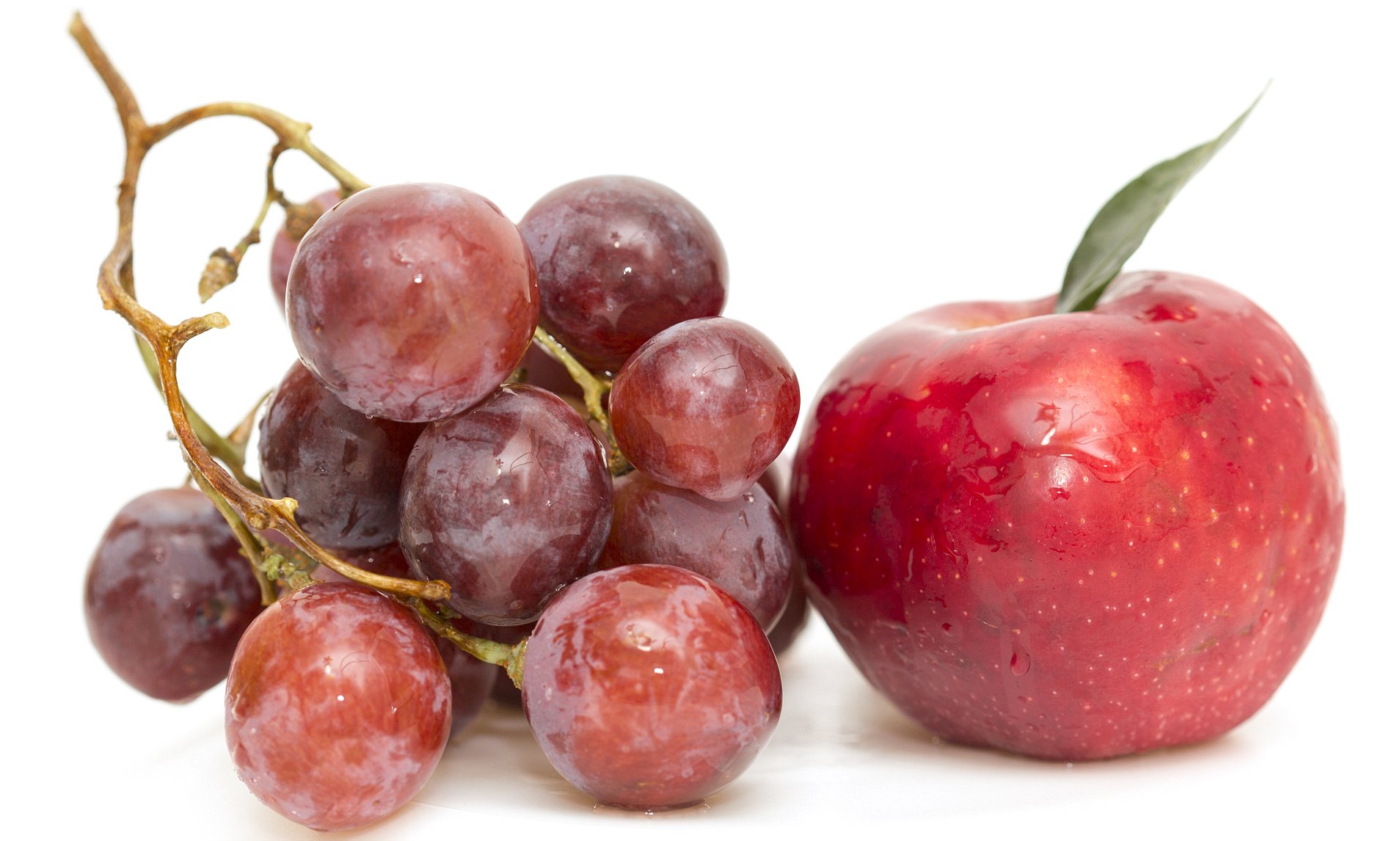 Vinitrox - Nitic Oxide Booster