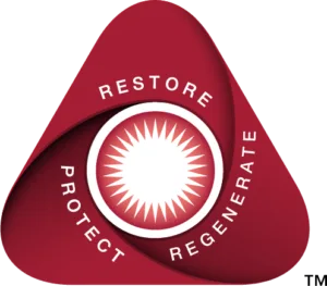 Restore-Regenerate-Protect-microvascular