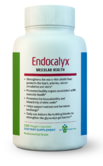 endocalyx